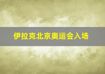 伊拉克北京奥运会入场