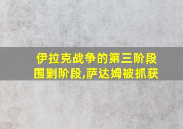 伊拉克战争的第三阶段围剿阶段,萨达姆被抓获