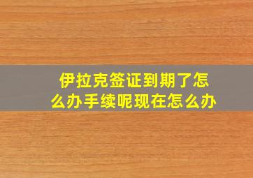 伊拉克签证到期了怎么办手续呢现在怎么办