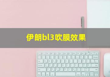 伊朗bl3吹膜效果