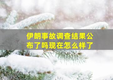 伊朗事故调查结果公布了吗现在怎么样了