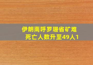 伊朗南呼罗珊省矿难死亡人数升至49人1