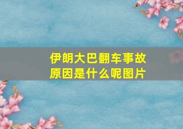 伊朗大巴翻车事故原因是什么呢图片