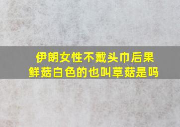 伊朗女性不戴头巾后果鲜菇白色的也叫草菇是吗