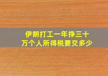 伊朗打工一年挣三十万个人所得税要交多少