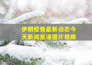 伊朗疫情最新动态今天新闻报道图片视频