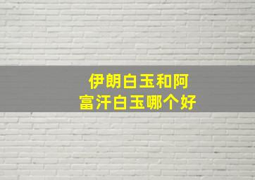 伊朗白玉和阿富汗白玉哪个好