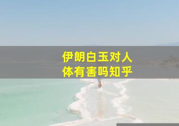 伊朗白玉对人体有害吗知乎