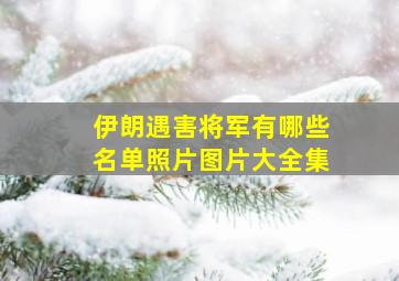 伊朗遇害将军有哪些名单照片图片大全集