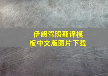 伊朗驾照翻译模板中文版图片下载