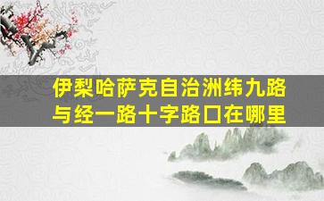 伊梨哈萨克自治洲纬九路与经一路十字路囗在哪里