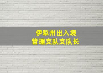 伊犁州出入境管理支队支队长