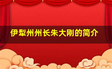 伊犁州州长朱大刚的简介