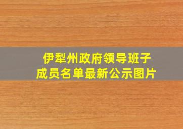 伊犁州政府领导班子成员名单最新公示图片