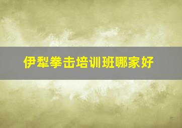 伊犁拳击培训班哪家好