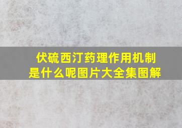 伏硫西汀药理作用机制是什么呢图片大全集图解