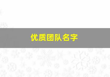 优质团队名字