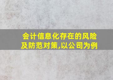 会计信息化存在的风险及防范对策,以公司为例