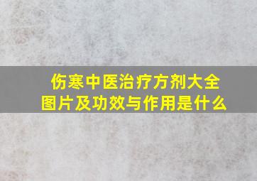 伤寒中医治疗方剂大全图片及功效与作用是什么