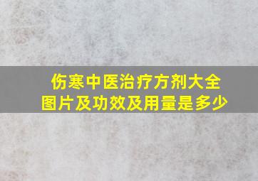 伤寒中医治疗方剂大全图片及功效及用量是多少