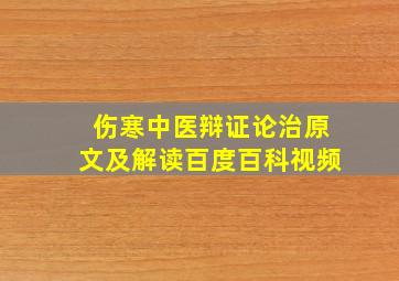 伤寒中医辩证论治原文及解读百度百科视频