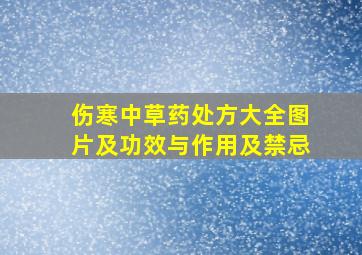 伤寒中草药处方大全图片及功效与作用及禁忌