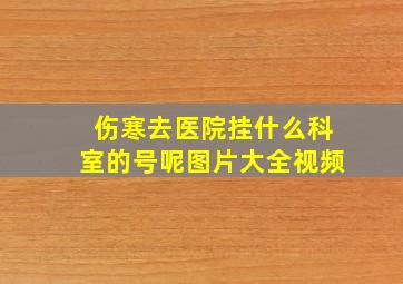 伤寒去医院挂什么科室的号呢图片大全视频