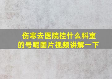 伤寒去医院挂什么科室的号呢图片视频讲解一下