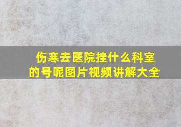 伤寒去医院挂什么科室的号呢图片视频讲解大全