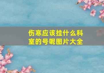 伤寒应该挂什么科室的号呢图片大全