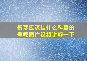 伤寒应该挂什么科室的号呢图片视频讲解一下