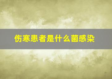 伤寒患者是什么菌感染