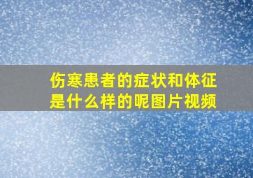 伤寒患者的症状和体征是什么样的呢图片视频