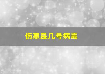 伤寒是几号病毒