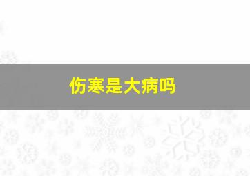 伤寒是大病吗