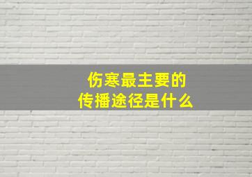 伤寒最主要的传播途径是什么