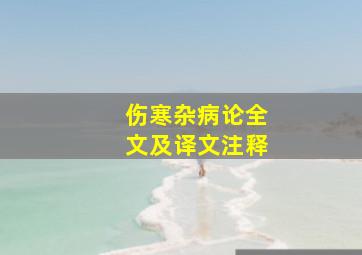 伤寒杂病论全文及译文注释