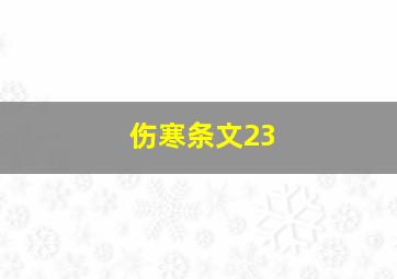 伤寒条文23