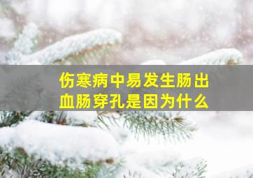 伤寒病中易发生肠出血肠穿孔是因为什么