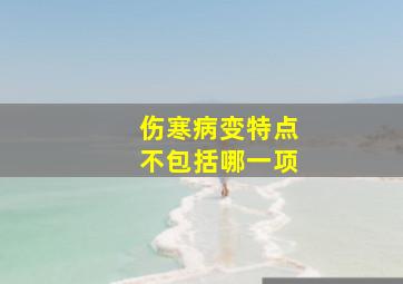 伤寒病变特点不包括哪一项