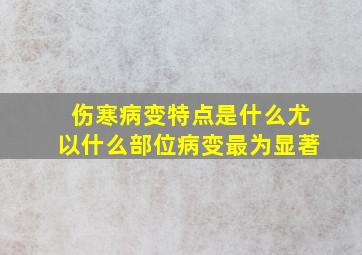 伤寒病变特点是什么尤以什么部位病变最为显著