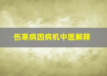 伤寒病因病机中医解释