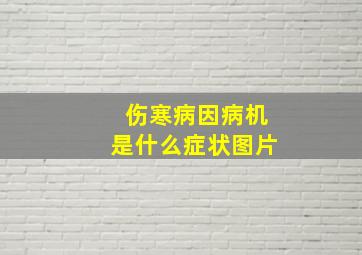 伤寒病因病机是什么症状图片