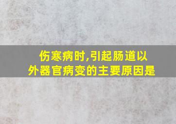 伤寒病时,引起肠道以外器官病变的主要原因是