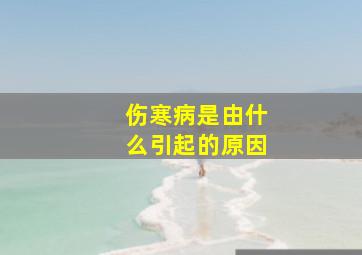 伤寒病是由什么引起的原因