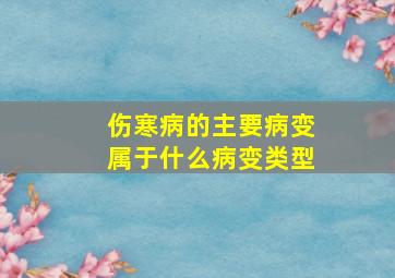 伤寒病的主要病变属于什么病变类型