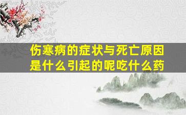 伤寒病的症状与死亡原因是什么引起的呢吃什么药