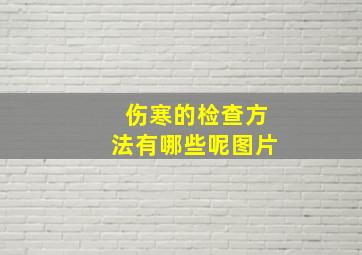 伤寒的检查方法有哪些呢图片