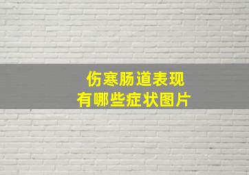 伤寒肠道表现有哪些症状图片