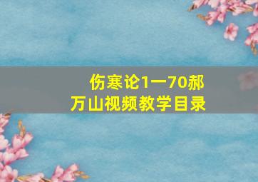 伤寒论1一70郝万山视频教学目录